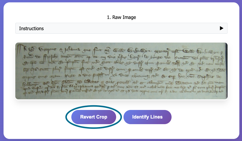 Revert Crop button interface